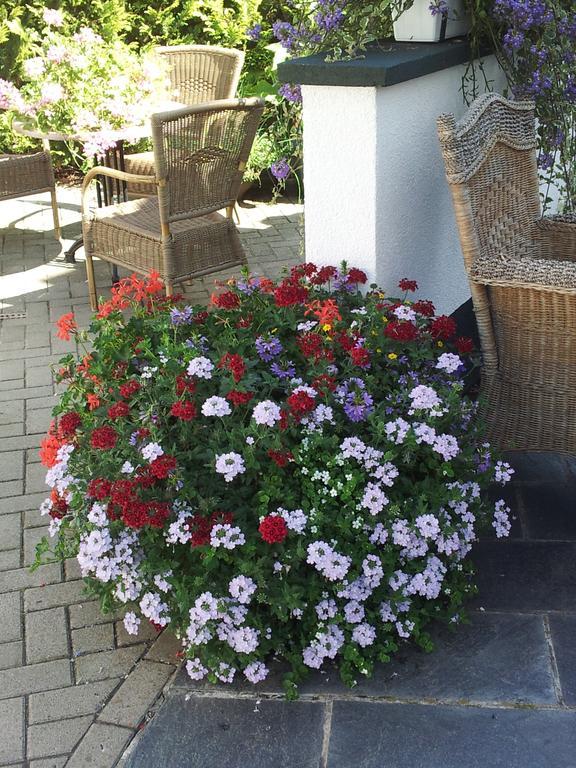 De Witte Molen Kranenburg B&B 외부 사진